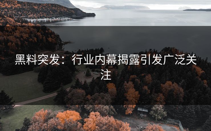 黑料突发：行业内幕揭露引发广泛关注