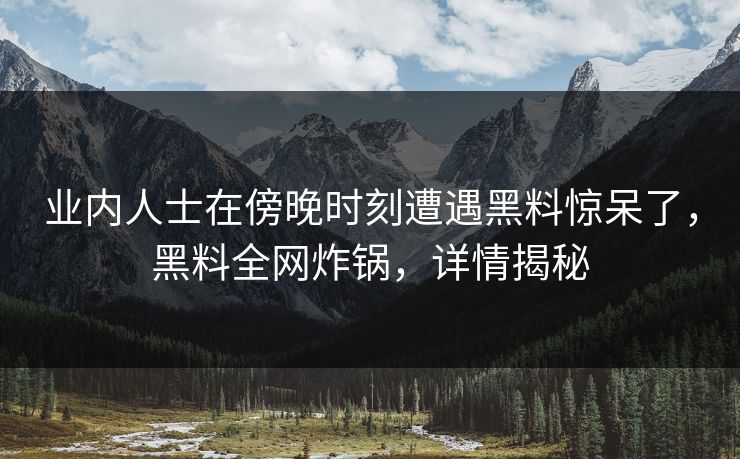 业内人士在傍晚时刻遭遇黑料惊呆了，黑料全网炸锅，详情揭秘