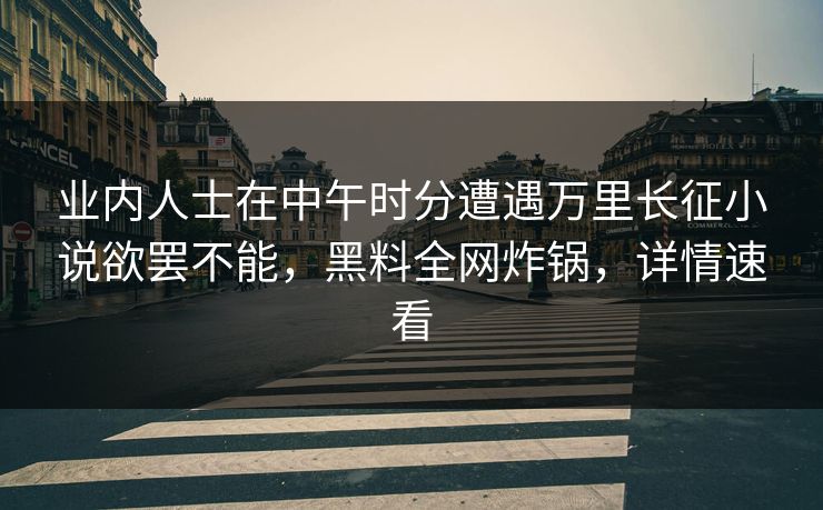 业内人士在中午时分遭遇万里长征小说欲罢不能，黑料全网炸锅，详情速看