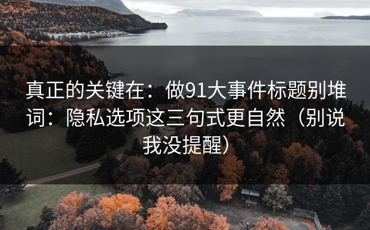 真正的关键在：做91大事件标题别堆词：隐私选项这三句式更自然（别说我没提醒）